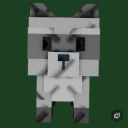 RACCOON