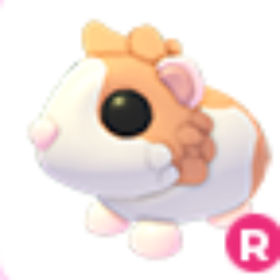 Ride > Red Dutch Guinea Pig > Adopt Me
