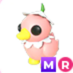 MR > Flower Power Duckling > Adopt Me