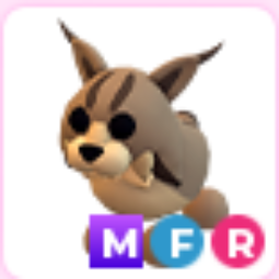 MFR > Lynx > Adopt Me