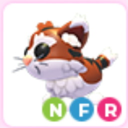 NFR > Munchkin Cat > Adopt Me