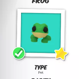 MFR Frog