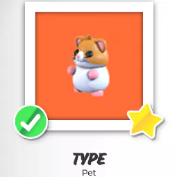 MR Hamster