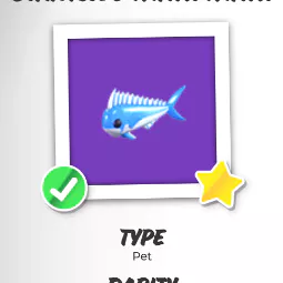 NR Diamond Mahi Mahi