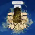 Roblox | Bloodlines | Shukaku | Killing Boss getting Stage 4 or Cloak for you ( Required you to have Beast Key First !! )