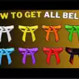 Dojo All Belts Farming Service
