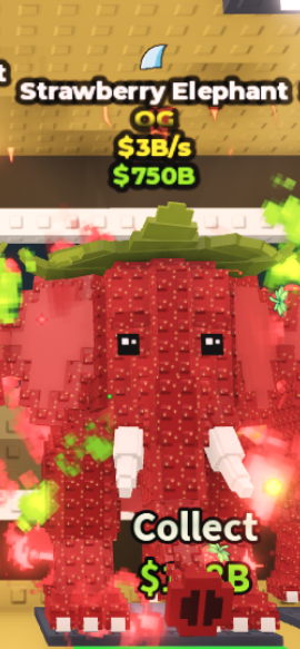 Strawberry Elephant Fin Trait - 3 B/s