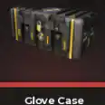 BloxStrike> Glove Case [x100]