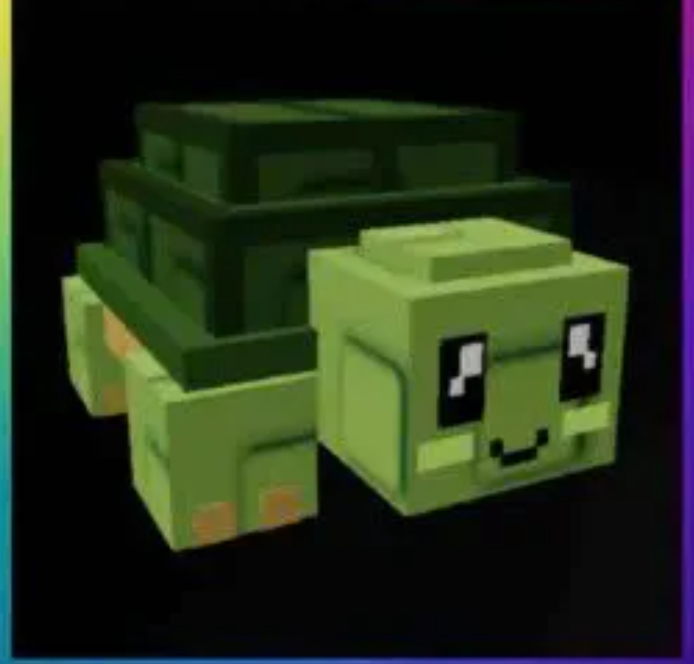⭐Turtle⭐