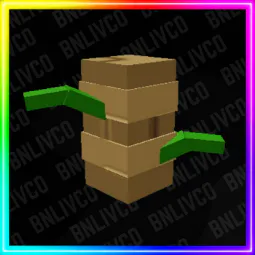 1500 Sugar Cane Seed