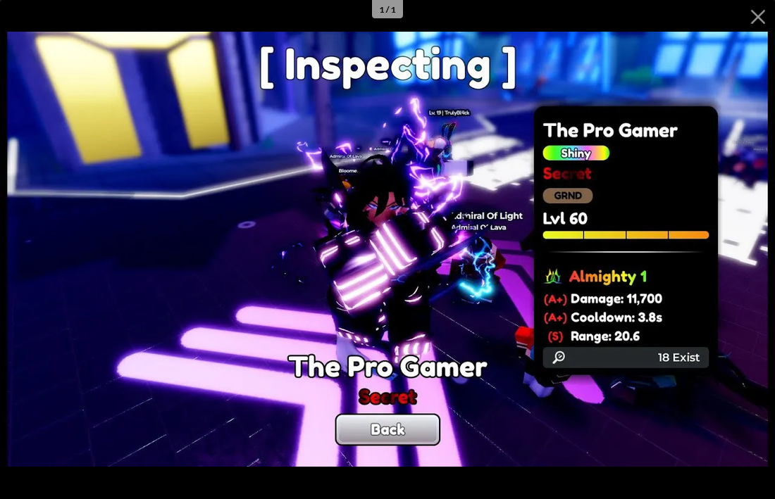 The Pro Gamer