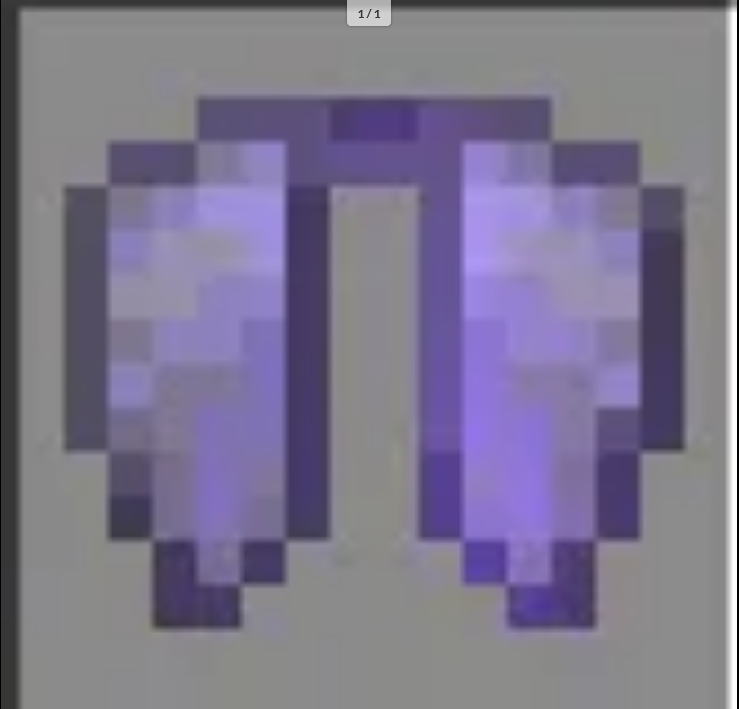 Elytra