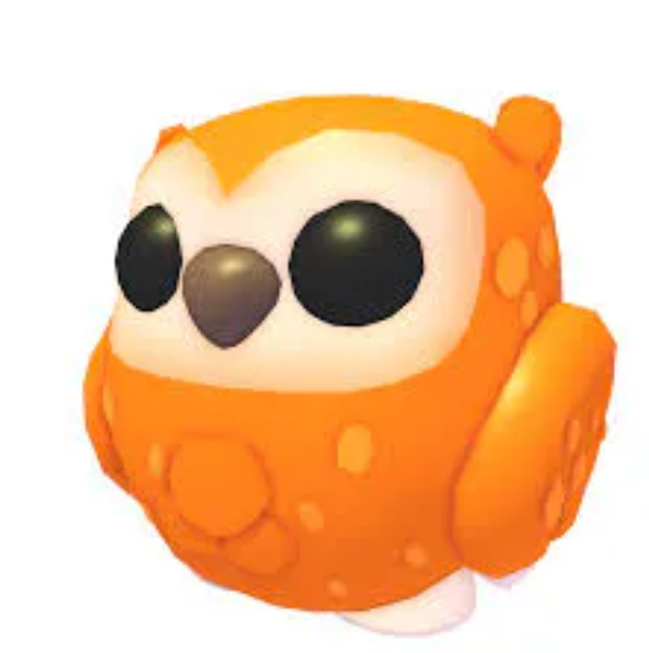 Neon Clementine Owl/ Adopt Me