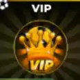 【VIP】【499R】