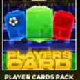 【 PLAYER CARD PACK 】【149R】