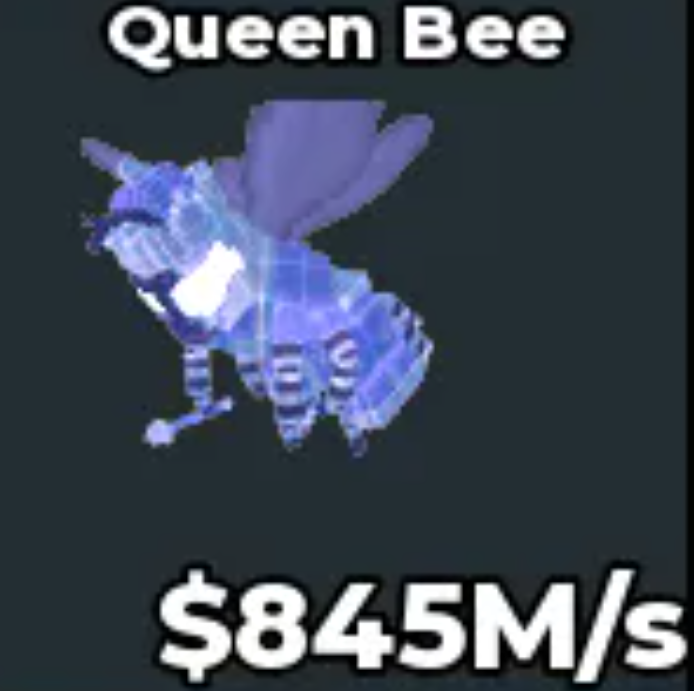 Queen Bee - 845 M/s