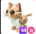 MR Leopard Cat - Instant Delivery