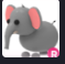 R Elephant - Instant Delivery