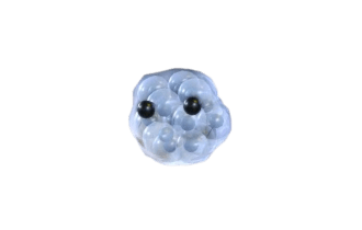 Frogspawn ▪️ Neon 🐸 Uncommon 🚀 Pets ⚡ 24/7 Online 🚀