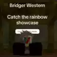 Catch The Rainbow | CTR / CR