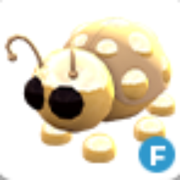 Golden Ladybug F