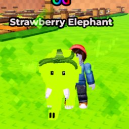 Radioavtice Strawberry Elephant