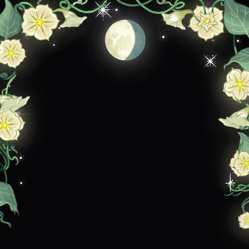 Discord Moonflowers (Base) Profile Effect 🎁 | Animated | Gift Link | Instant