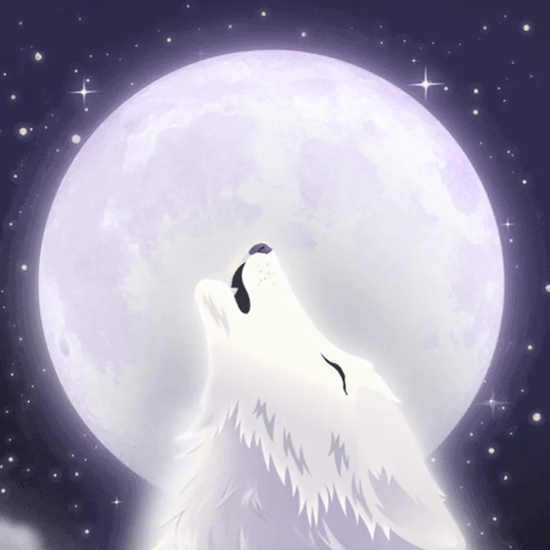 Discord Midnight Howl Profile Effect 🎁 | Animated | Gift Link | Instant
