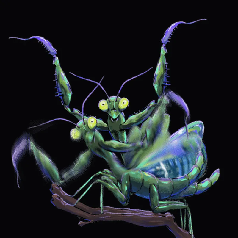 Discord Praying Mantis Profile Effect 🎁 | Animated | Gift Link | Instant