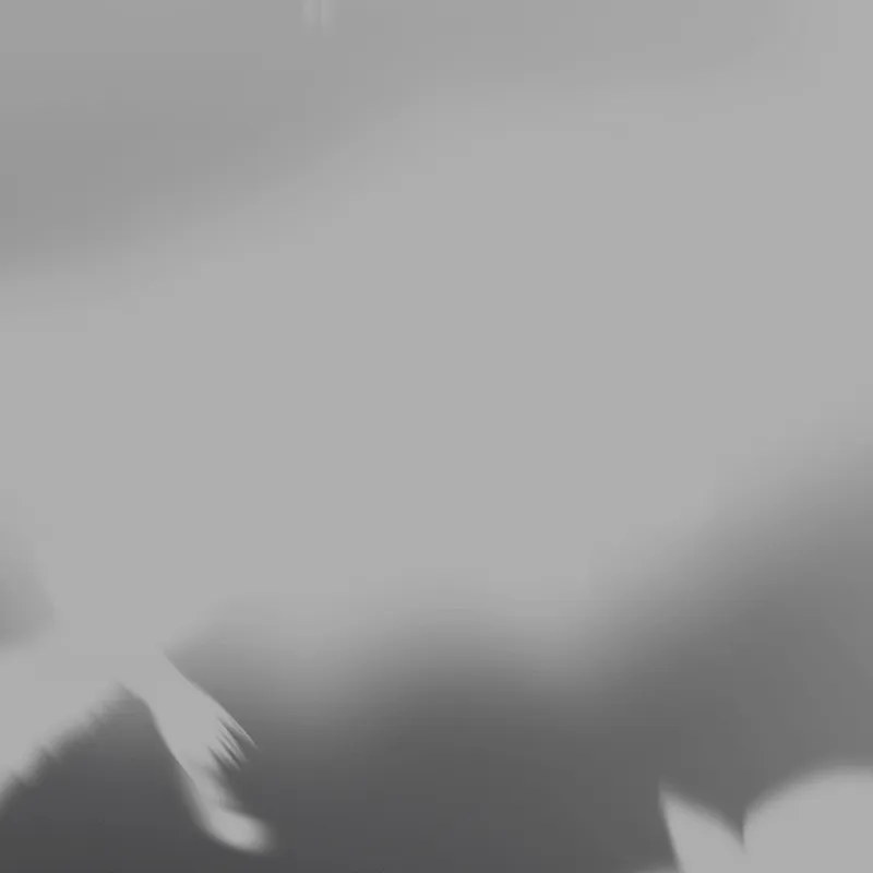 Discord Nevermore (White) Profile Effect 🎁 | Animated | Gift Link | Instant