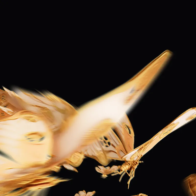 Discord Clockwork Butterflies Profile Effect 🎁 | Animated | Gift Link | Instant