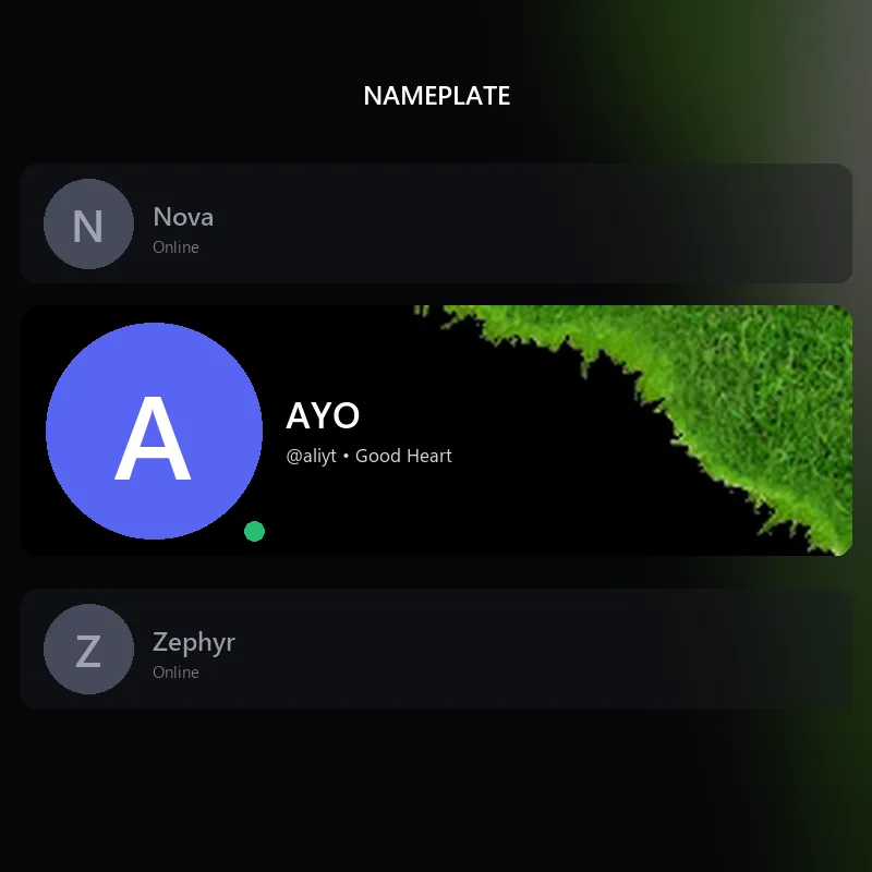 Discord Touch Grass Nameplate 🎁 | Gift Link | Instant