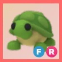 FR Turtle