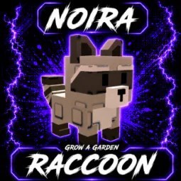Raccoon