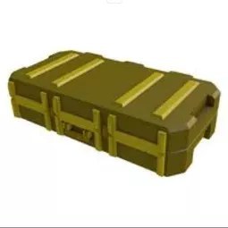 Skin Case 2