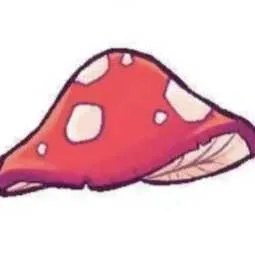 1m Mushrooms