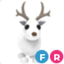 FR Arctic Reindeer