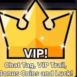 ✨ VIP ✨