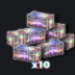 Secret Case X10 2479R