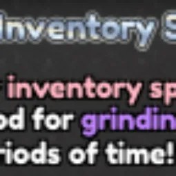 Infinite Inventory Space 998R