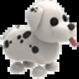 Dalmatian FR