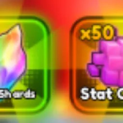 Beginner Bundle 499R