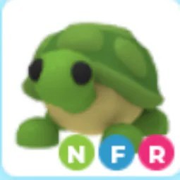 NFR Turtle