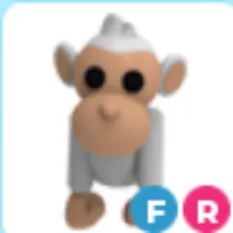 FR Albino Monkey