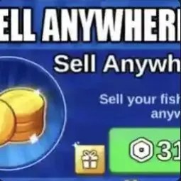 Anywhere