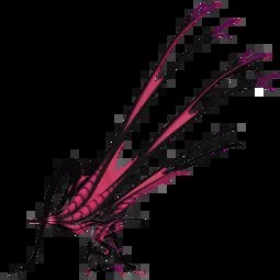 Xymorax