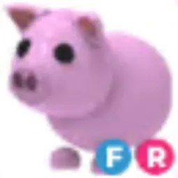 FR Pig