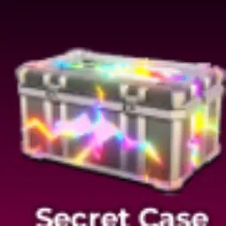 Secret Case X100 24599R