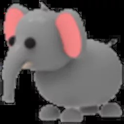 Elephant FR