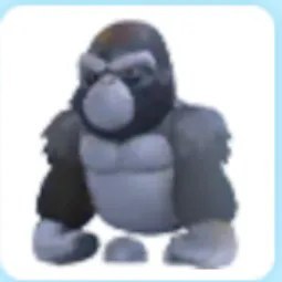 Silverback Gorilla Adm